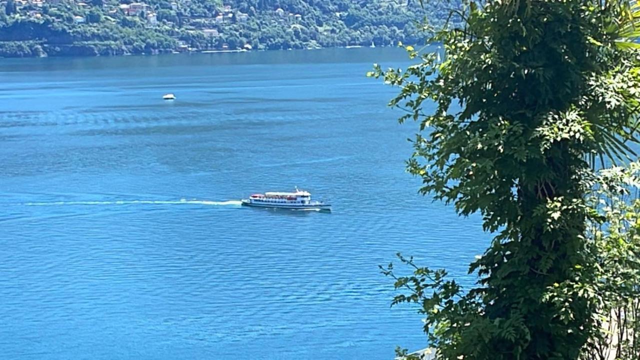 Swiss Blue Residence. Paradise Apartment *